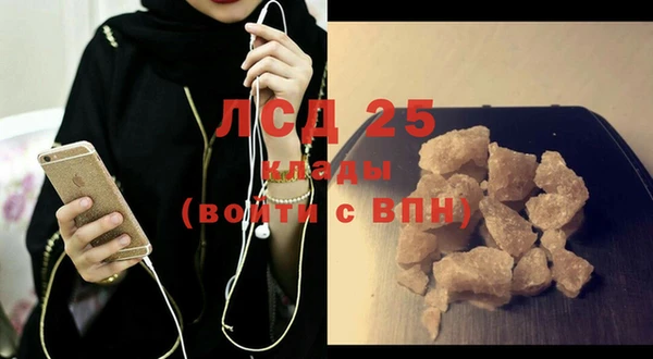 сатива Бородино