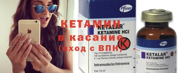 сатива Бородино