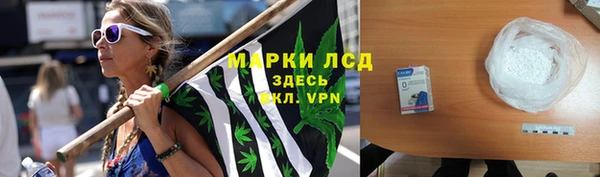 сатива Бородино