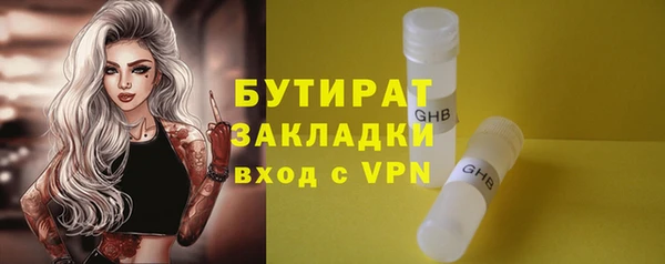 сатива Бородино