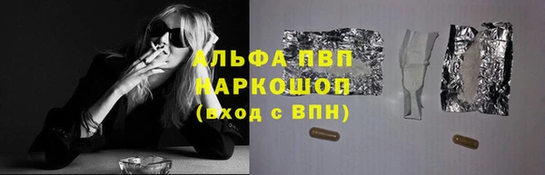 сатива Бородино