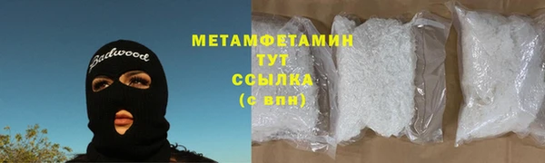 сатива Бородино