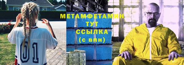 сатива Бородино