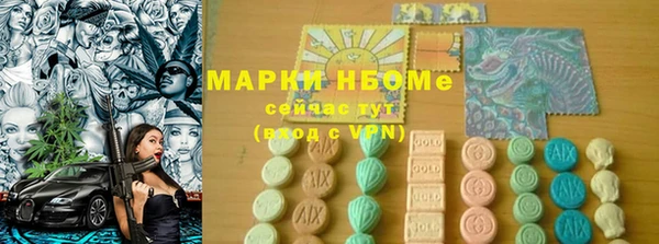 сатива Бородино