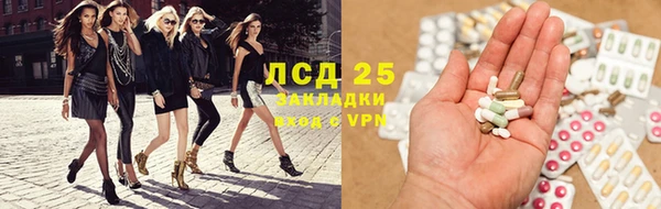 сатива Бородино
