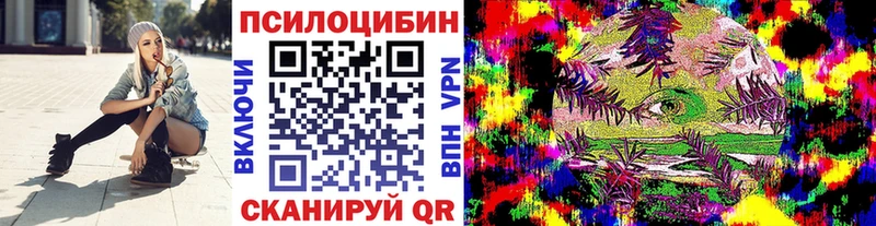 Галлюциногенные грибы Psilocybe  Купить закладки  Горячий Ключ 